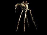 Clyft0000.jpg (3512 bytes)