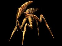 Cryll0000.jpg (4917 bytes)