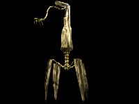 Pliilar0000.jpg (3027 bytes)