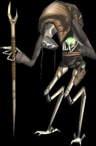 Lokai traveller looking at a mapping gem.