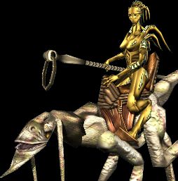 Unarra riding a Clift.